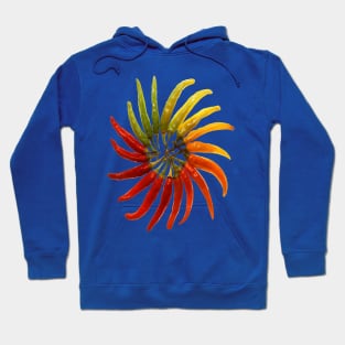 Chili Color Wheel Vector for Chili Lovers Hoodie